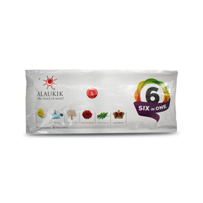 Alaukik 6 In 1 Pouch
