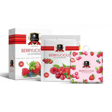 Alaukik Air Freshener Berrylicious 10g X 6
