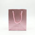 Rapid Paper Gift Bag with Handle - Pink